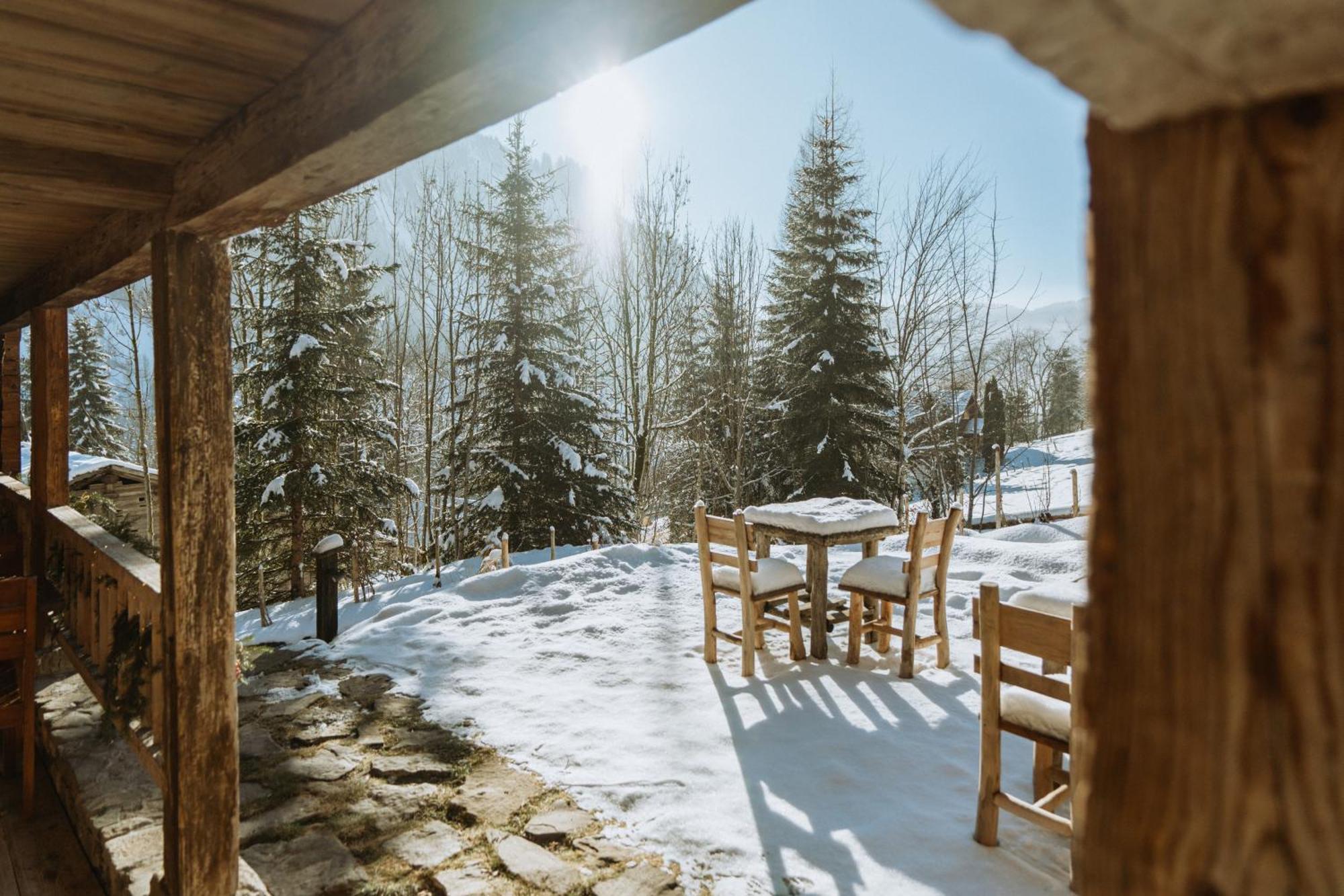 Chalet 1864 Le Grand-Bornand Exterior foto